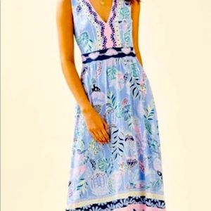 Lili Pulitzer beautiful summer maxi dress.